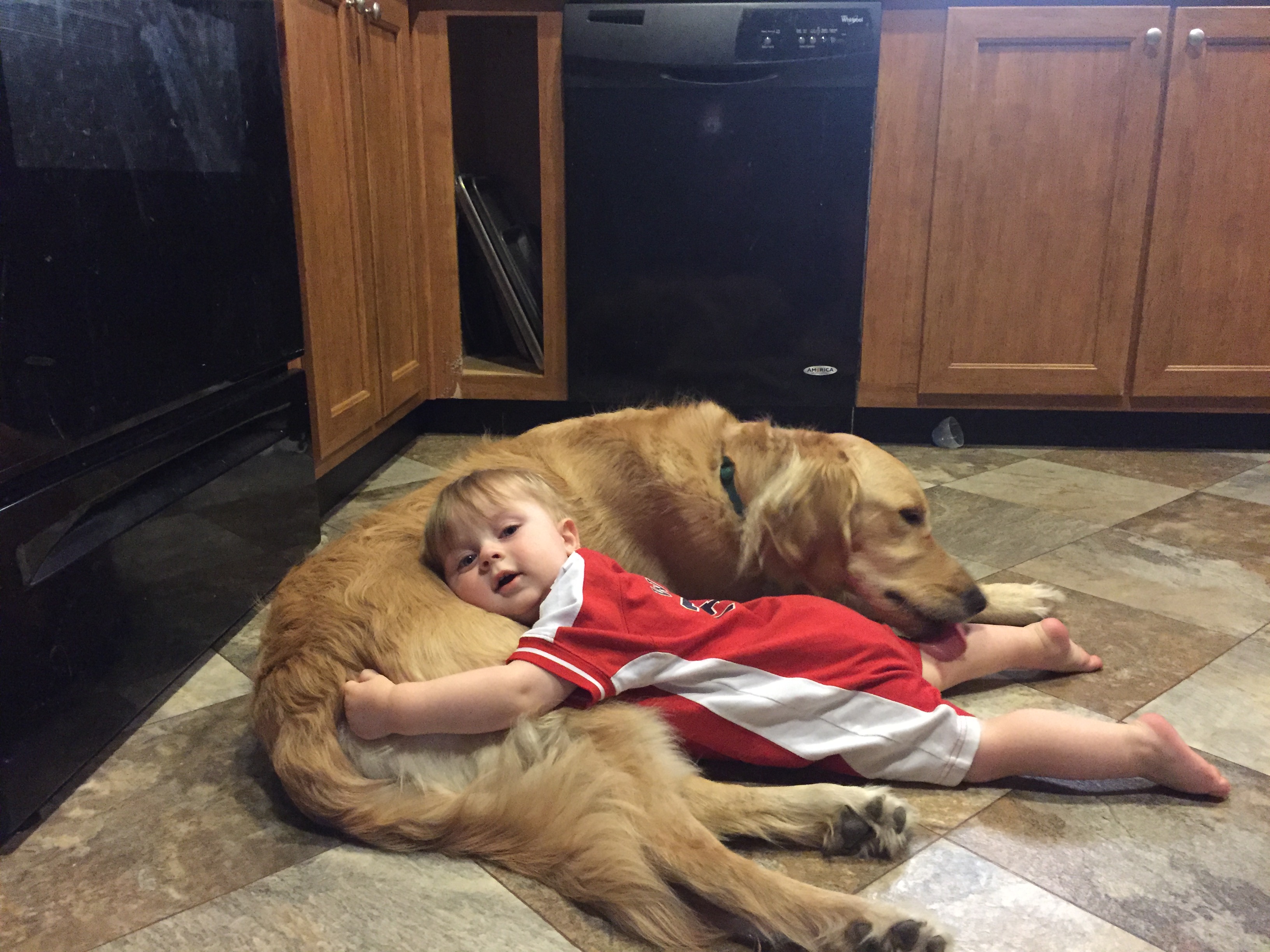 Bowser lying gently beside a young Winston